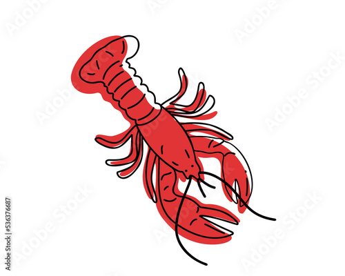 Fresh red crayfish isolated on white background, flat and doodle or hand drawn vector illustration