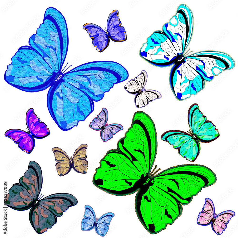 Farfalle colorate in volo Farfalle colorate in volo