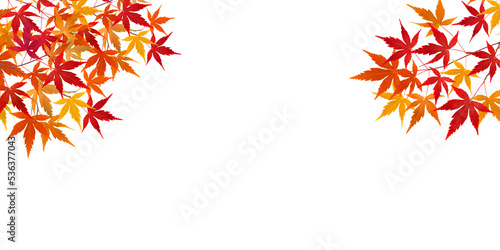 Fotografía もみじ 紅葉 葉 イラスト リアル 背景