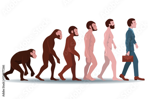 The process of human evolution from monkey to office worker. Vector flat illustration
