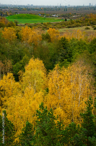 autumn forest and countryside