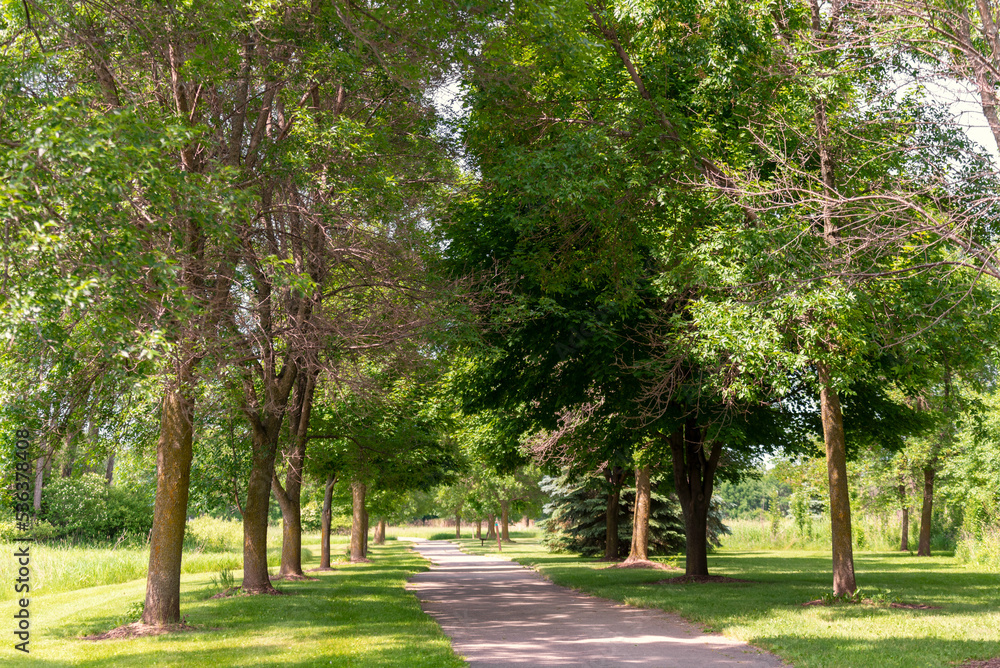 A Tree-Lined Local Trail In Spring