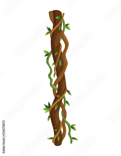 Twisted wild lianas branches banner. Jungle vine plants. Rainforest flora and exotic botany. Woody natural branches