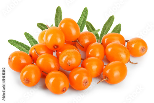 Sea buckthorn. Fresh ripe berry isolated on white background macro
