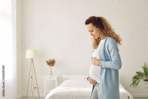 Happy young Caucasian woman hold belly excited with pregnancy. Healthy pregnant female awaiting for baby born at home. Successful ivf treatment. Motherhood and parenting concept.