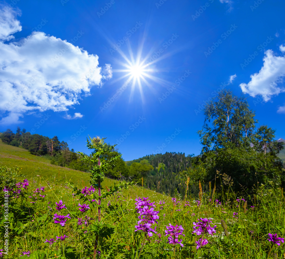 green mountain slope with flowers under sparkle sun green mountain slope with flowers under sparkle sun