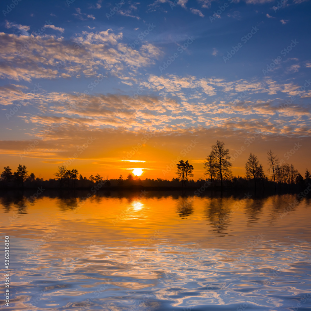 Fototapeta premium pine forest silhouette on quiet lake coast at the dramatic sunset, natural evening background