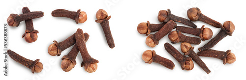 Dry spice cloves isolated on white background with clipping path. Top view. Flat lay