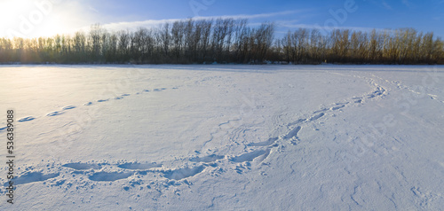 winter snowbound plain in light of evening sun © Yuriy Kulik