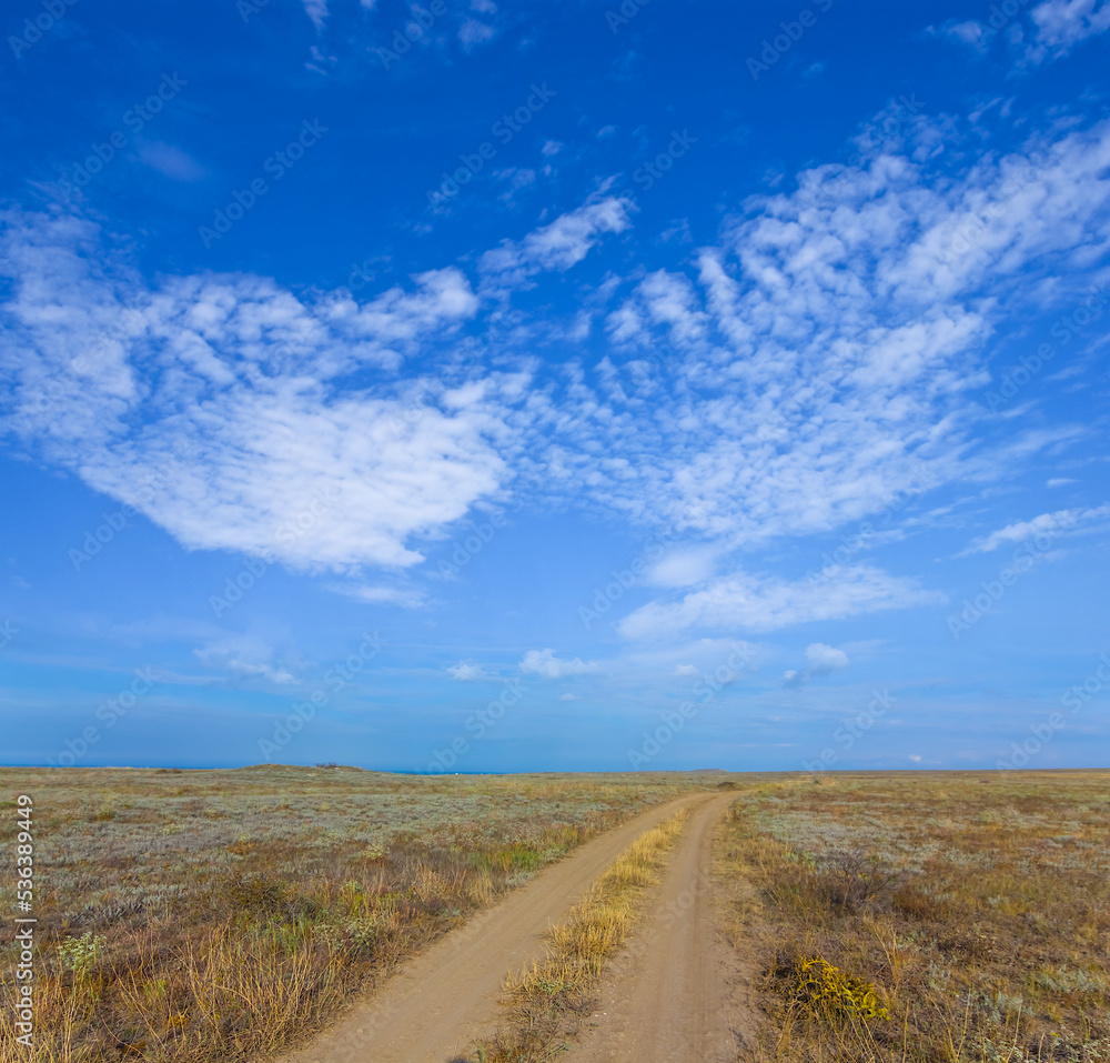 ground road among dry prairie under cloudy sky