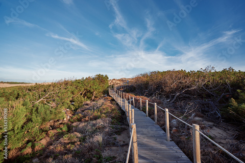 Wooden pedestrian walkway through Sintra-Cascais natural park. Wild sandy landscape  with part of Cresmina Dunes. Beautiful scenery in Portugal.