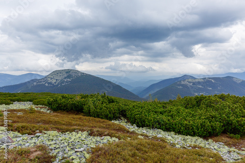 Summer mountain landscape in the afternoon under a cloudy sky. Stones and mountain pines in the foreground. Active lifestyle and hiking in the mountains.