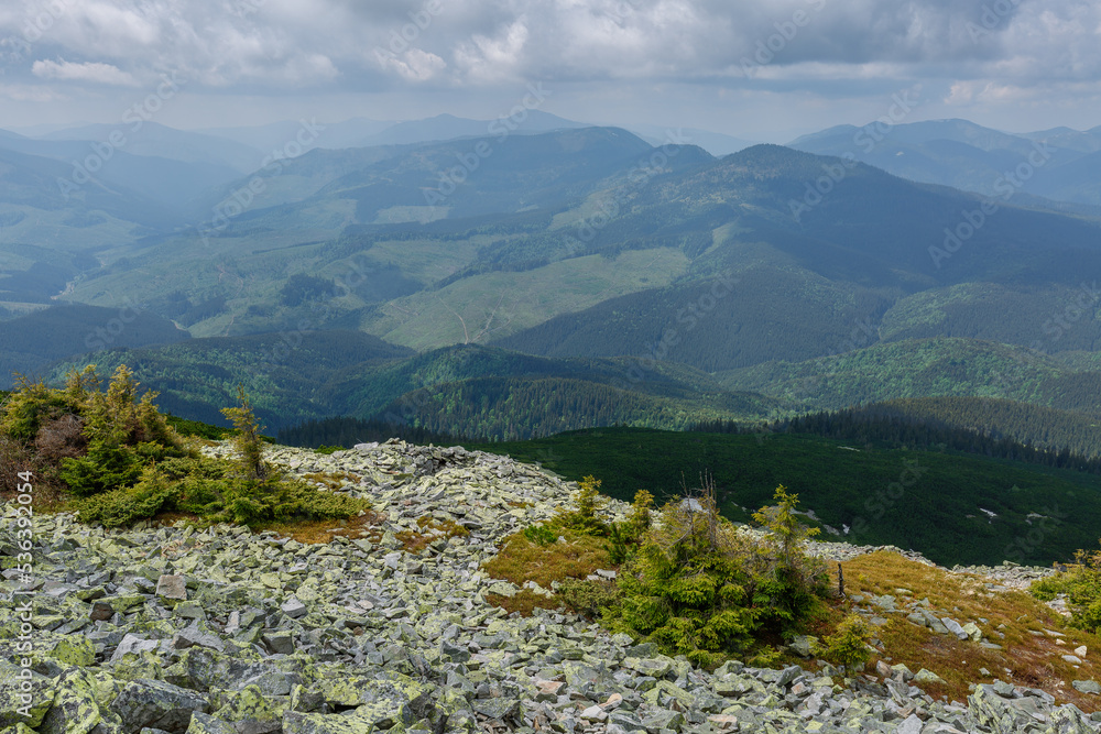 Naklejka premium Summer mountain landscape in the afternoon under a cloudy sky. Stones and mountain pines in the foreground. Active lifestyle and hiking in the mountains.
