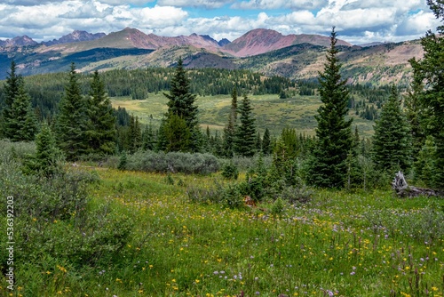 Фотография Colorful flowers and lush green vegetation of Shrine Pass mountain pass in Color
