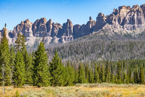 Green trees in Shoshone National Forest with massive rock formations in the background photo
