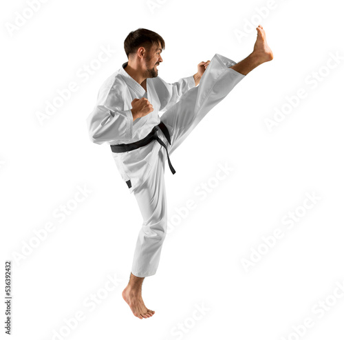 Karate master. Isolated background © Andrey Burmakin