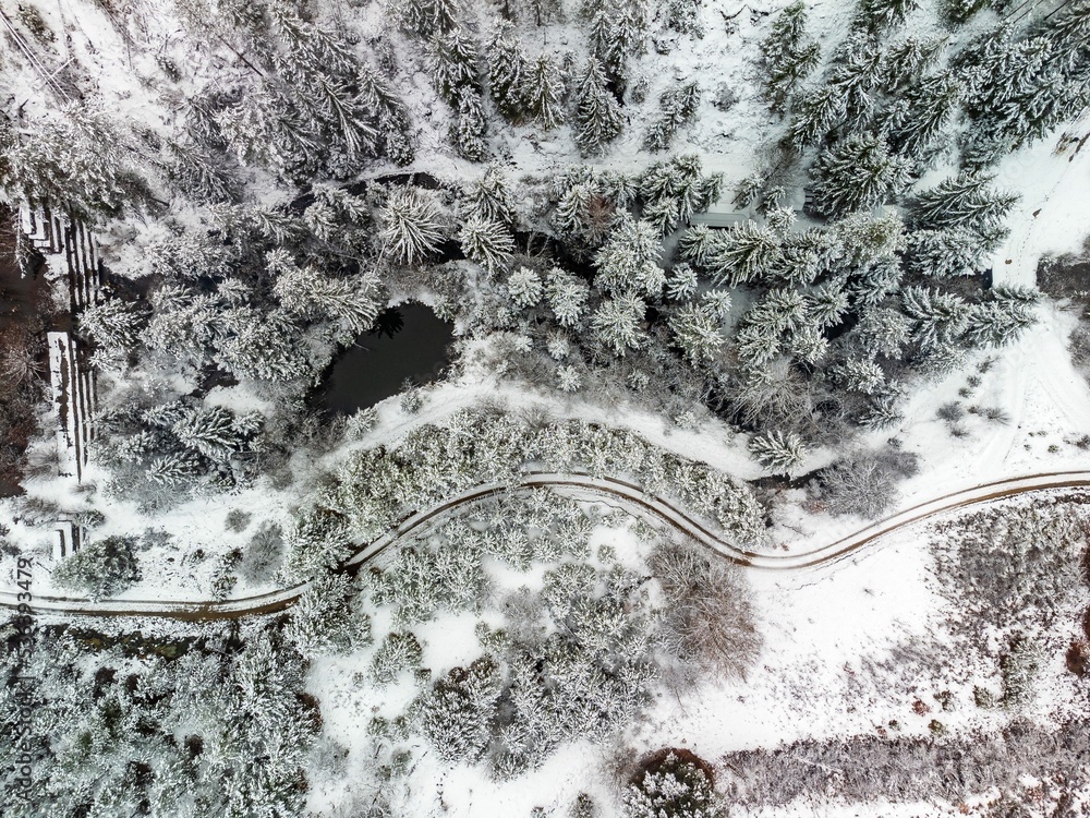 Aerial of Tara mountain and Lipovica lake in winter in Serbia. - obrazy, fototapety, plakaty 