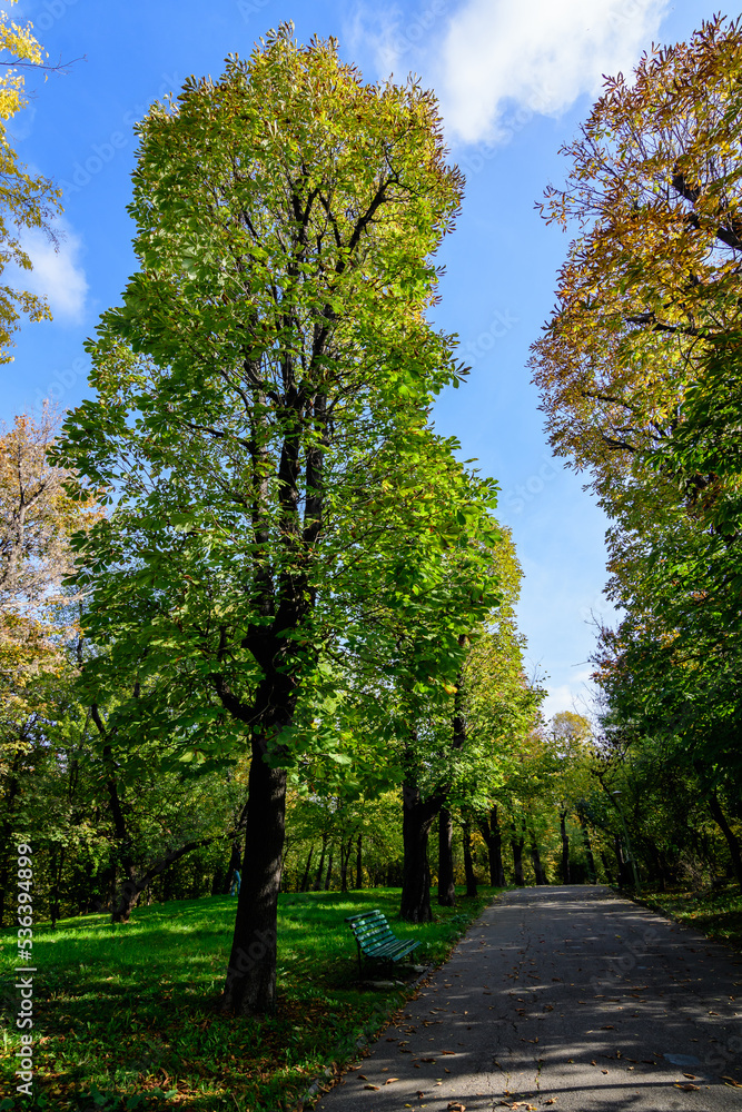 Landscape with the alley surrounded by green and yellow old large chestnut trees and grass in a sunny autumn day in Parcul Carol (Carol Park) in Bucharest, Romania . Landscape with the alley surrounded by green and yellow old large chestnut trees and grass in a sunny autumn day in Parcul Carol (Carol Park) in Bucharest, Romania .