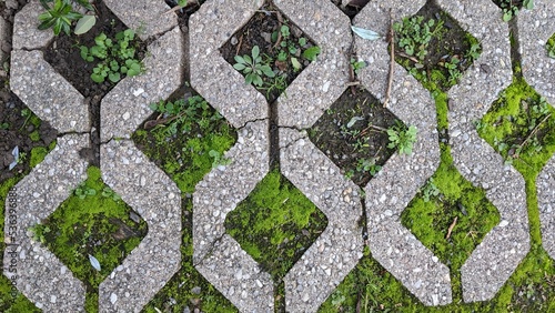 beautiful pattern of paving slabs and moss