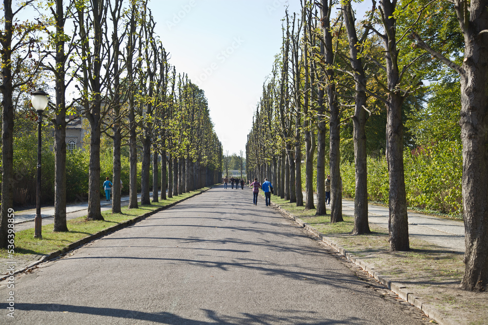 Park From Sanssoussi - Potsdam near Berlin (Germany) Park From Sanssoussi - Potsdam near Berlin (Germany)