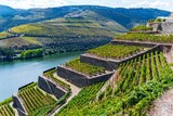 Scenic aerial view of Douro River surrounded by mountains on a sunny day