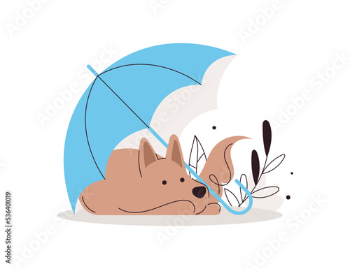 Dog lays under umbrella. Medical coverage for animals' health. Pet was left outside. Homeless animal.