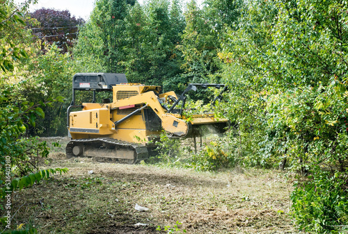 Obraz na plátně Forestry Mulcher Grinding Up Underbrush