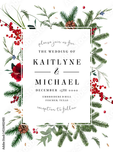 Emerald Christmas greenery, red amaryllis, winter berry, cedar, emerald pine, spruce vector design frame