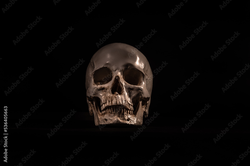 ludzka czaszka centralnie na czarnym tle do projektu na Halloween
