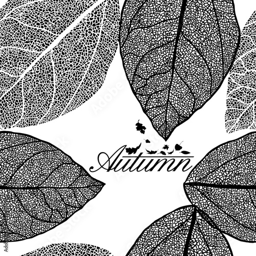 Frame with skeletonized leaves. Vector illustration