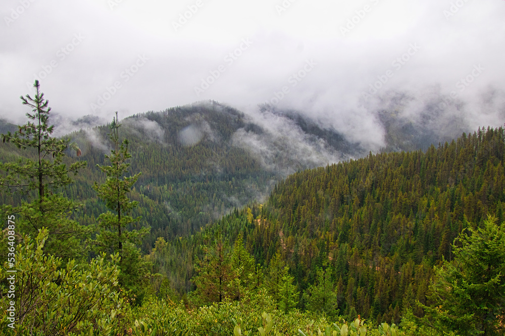 Low-hanging clouds cover the tops of forested mountains in Northwestern Idaho on an early Autumn day. Low-hanging clouds cover the tops of forested mountains in Northwestern Idaho on an early Autumn day.