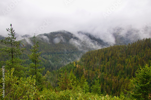 Low-hanging clouds cover the tops of forested mountains in Northwestern Idaho on an early Autumn day.