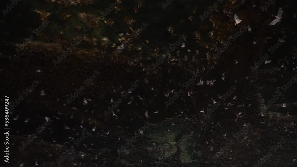 Amazingly beautiful shot inside a dark stone cave with beautiful many