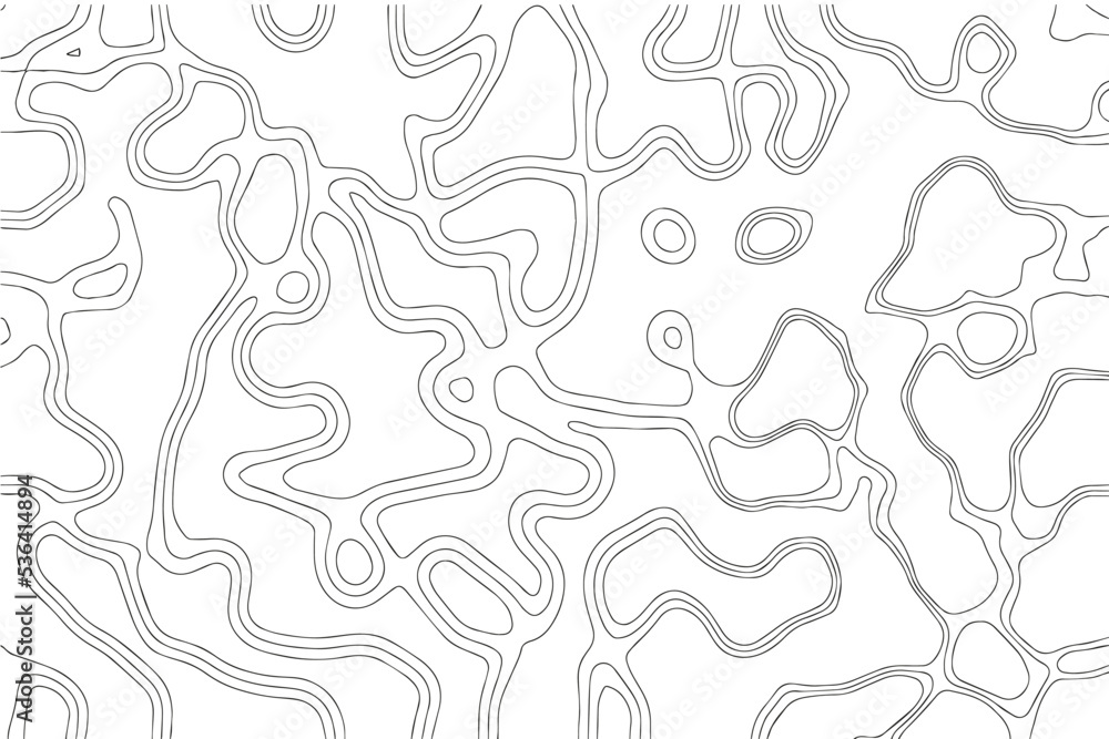 Abstract fluid topographic lines texture vector