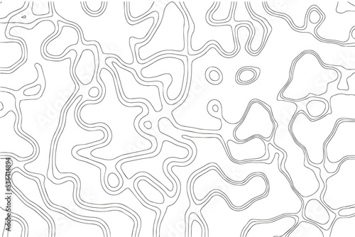 Abstract fluid topographic lines texture vector
