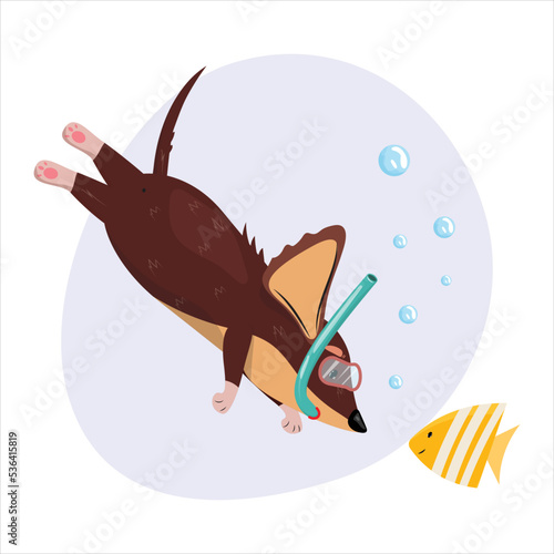 Cute diving dachshund with goggles exploring the undersea.