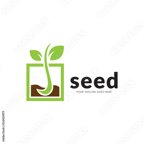 green seed logo type illustration.