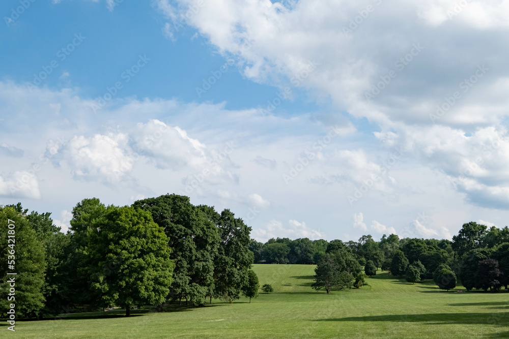 Park Landscape