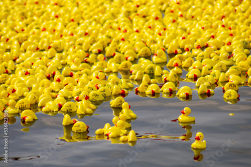 Fotografía Rubber Duck Derby Race