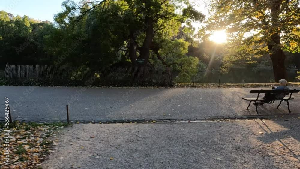 Plan long de vue d'une allée de balade dans un parc en fin de journée, 119,88fps ralenti X4 - 29,97fps