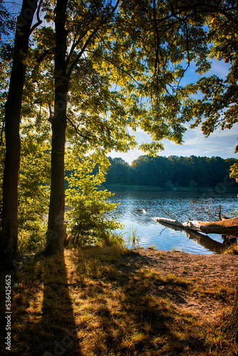 See im Herbst 