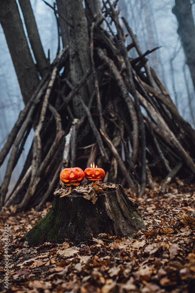 Two smiling Halloween Pumpkins on a forest with lights In a heads.