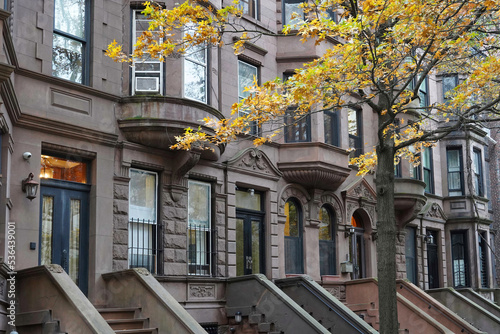 Canvastavla New York City residential street with brownstone buildings and oak tree with fal