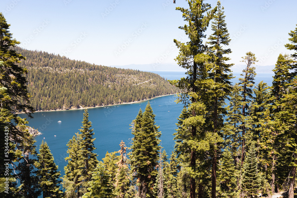 Seeing Lake Tahoe in the forest