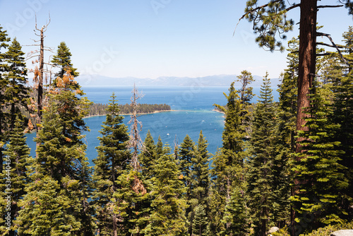 Seeing Lake Tahoe in the forest