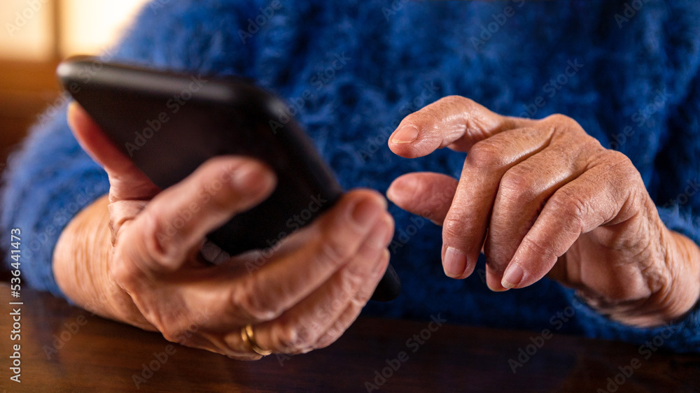 Elderly woman using mobile phone while sitting at living room home. Grandmother
