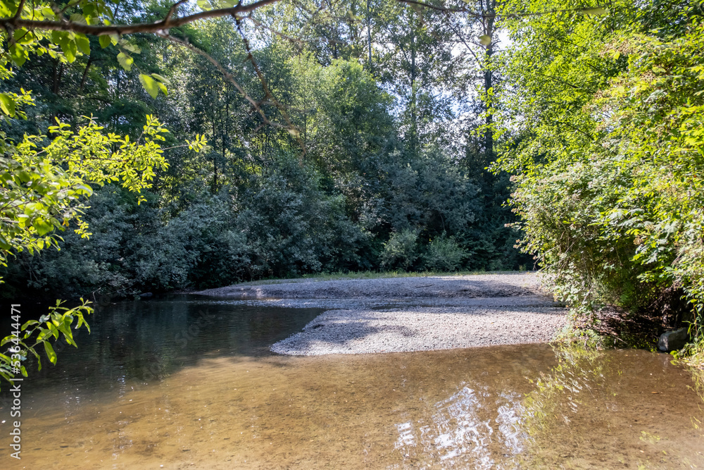 Still water and rocky beach in forest setting Still water and rocky beach in forest setting