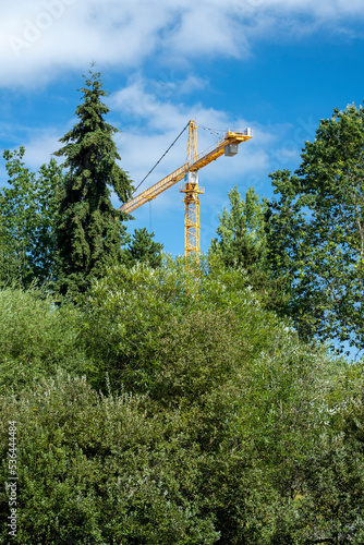 Construction crane reaching into blue sky