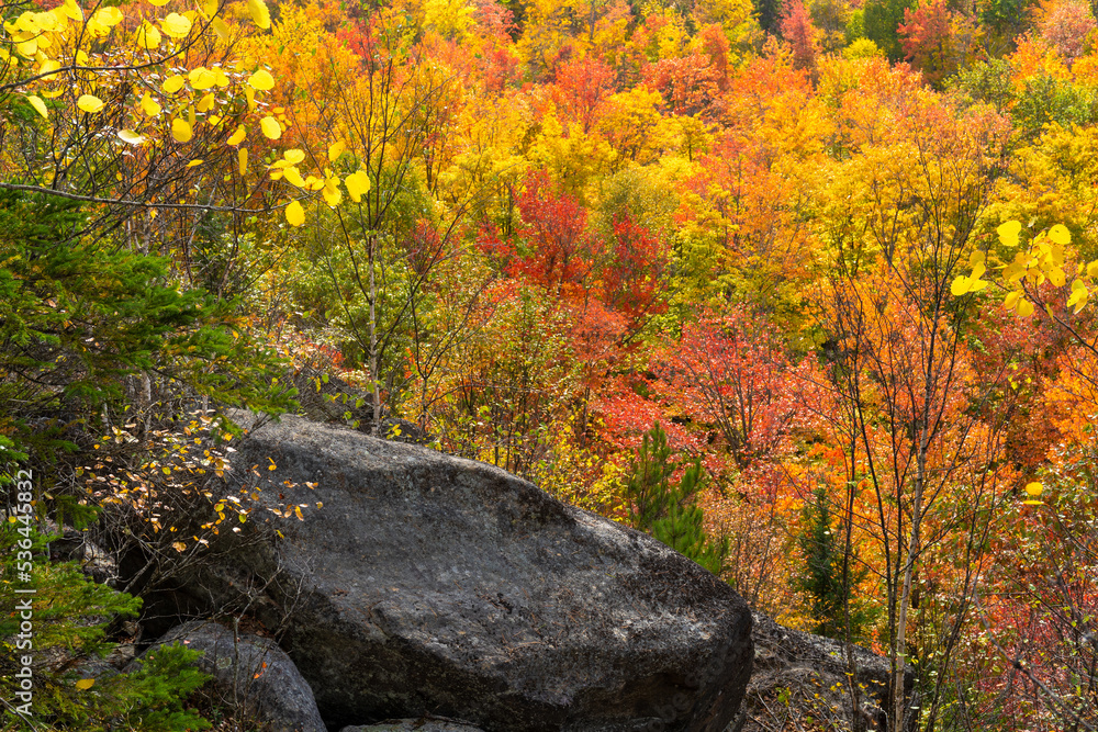 2022 Fall colors at Algonquin National Park in Ontario, Canada 2022 Fall colors at Algonquin National Park in Ontario, Canada