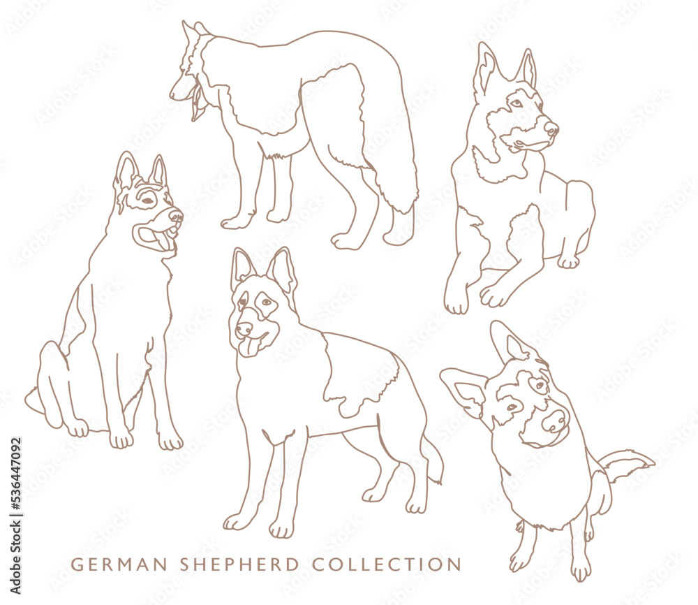 Fototapeta premium German Shepherd Illustration Collection - Various Poses - Outline